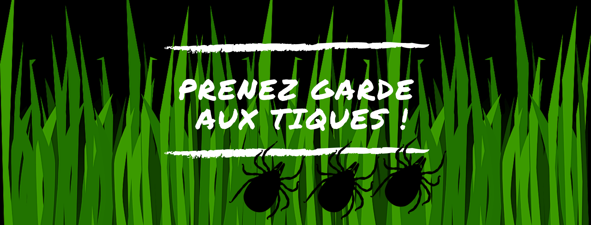 prenez garde aux tiques