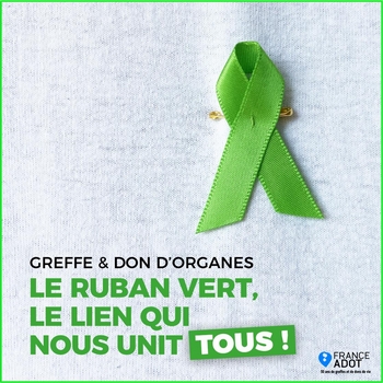 don d'organes