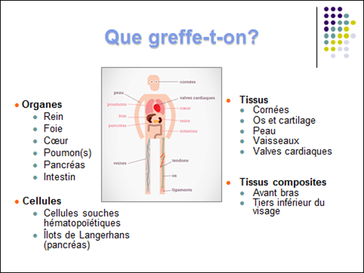 que greffe-t-on ?