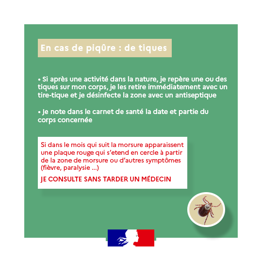 consignes tiques